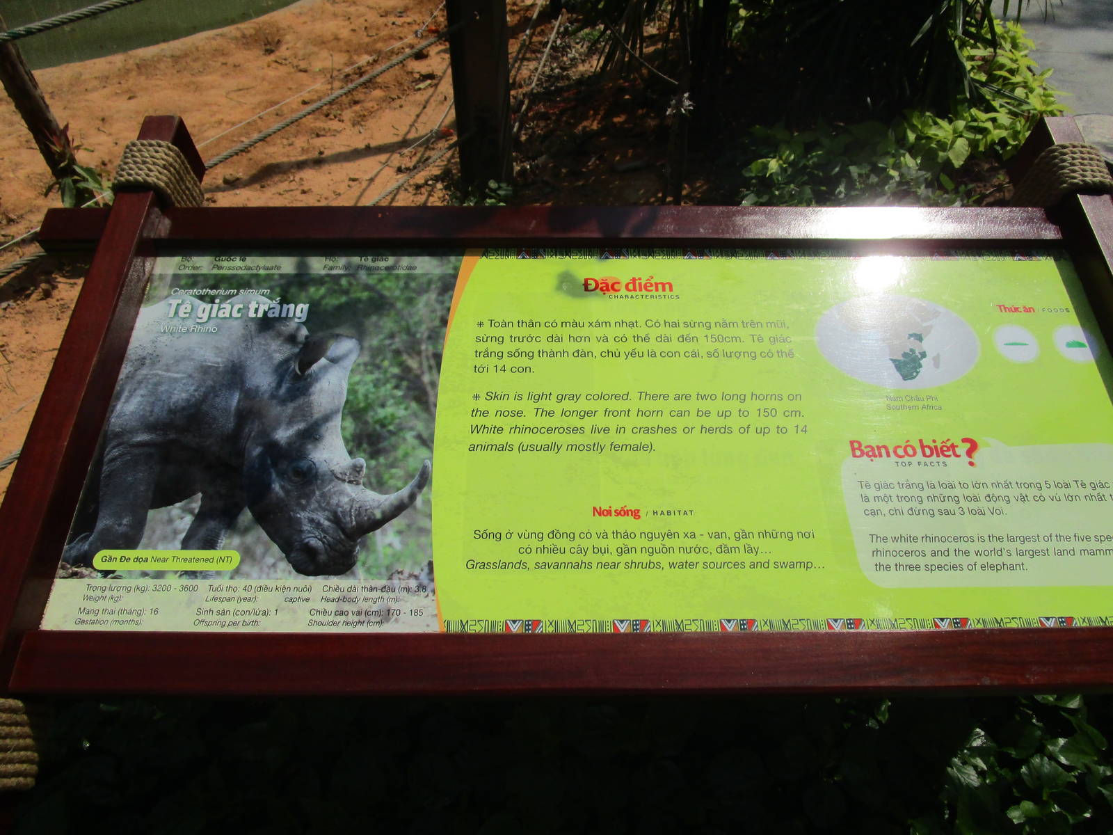 Vinpearl Safari - Signage