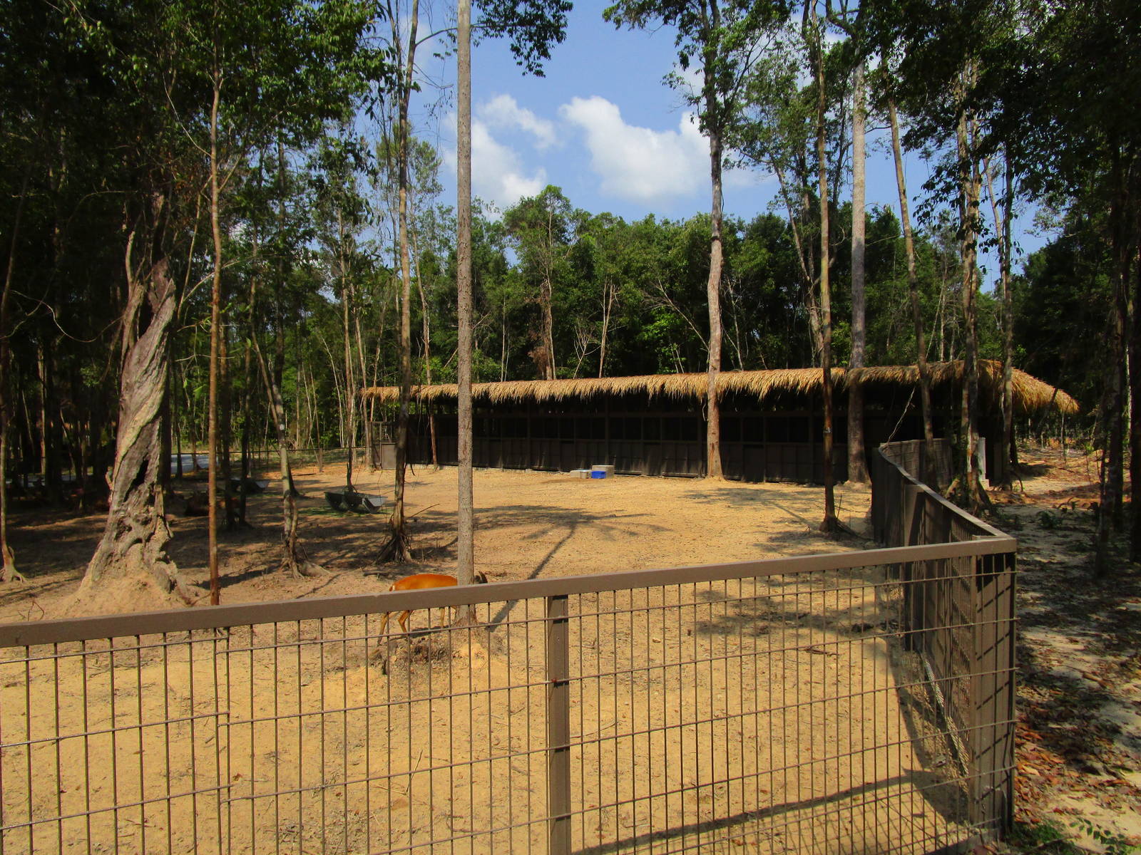 Vinpearl Safari - Sika Deer Enclosure