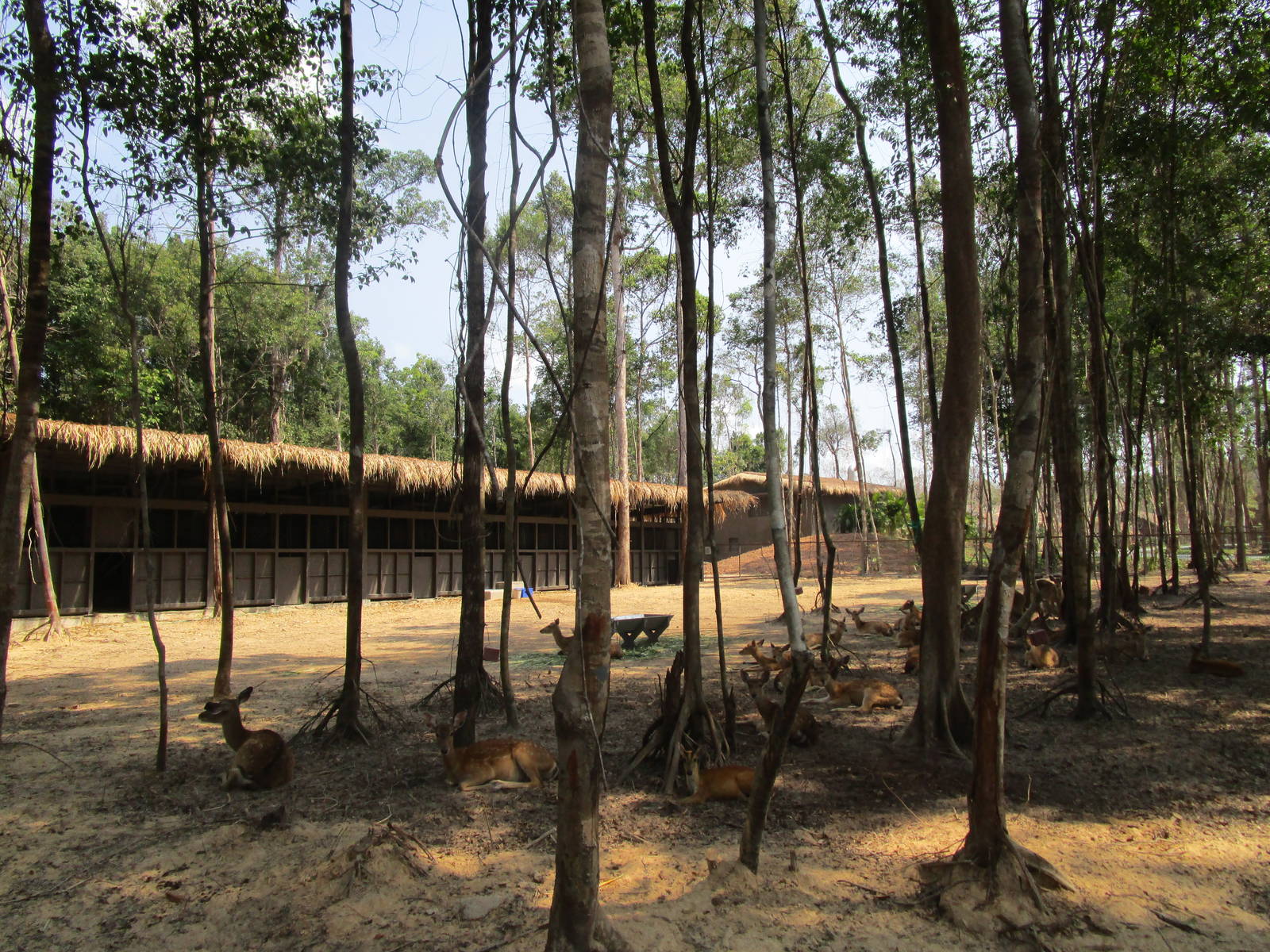Vinpearl Safari - Sika Deer Enclosure