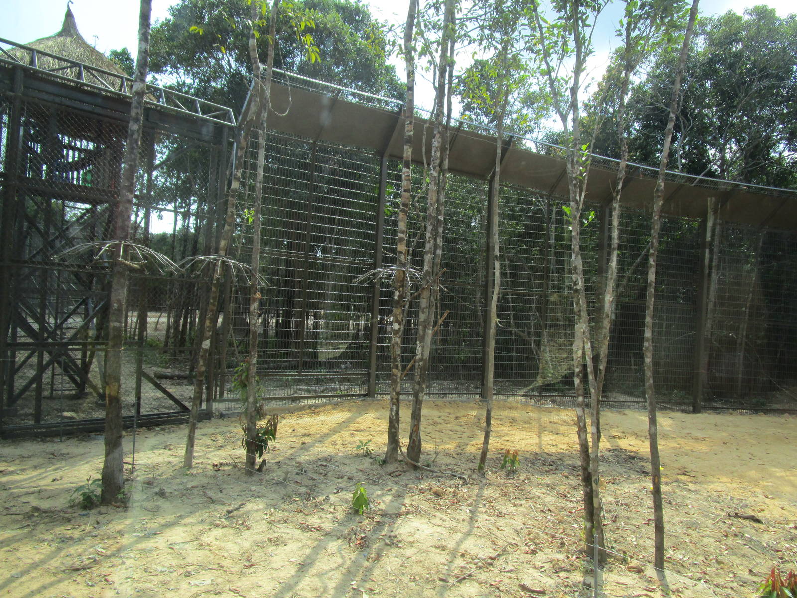 Vinpearl Safari - Tiger Reserve Fencing