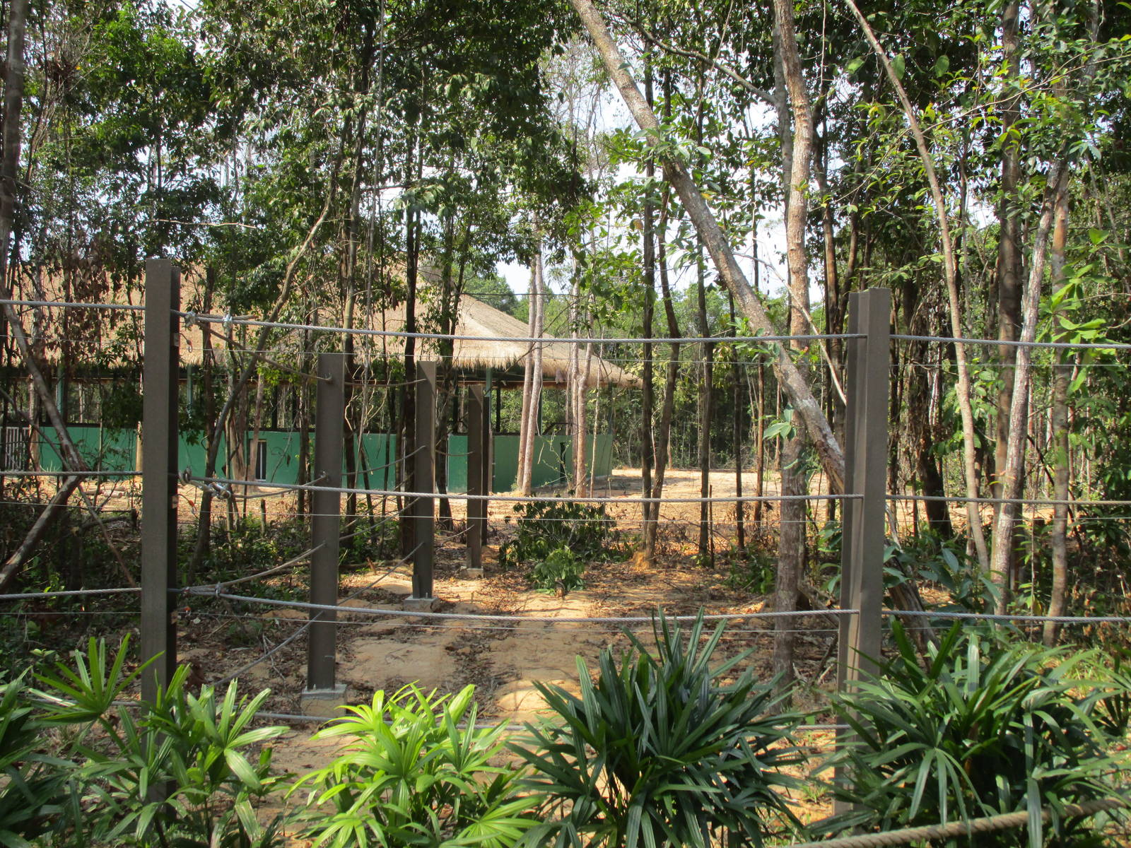 Vinpearl Safari - View to Elephant House