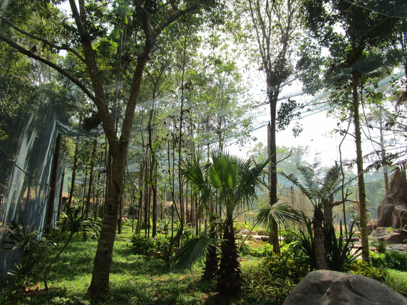 Vinpearl Safari - Walkthrough Aviary Interior