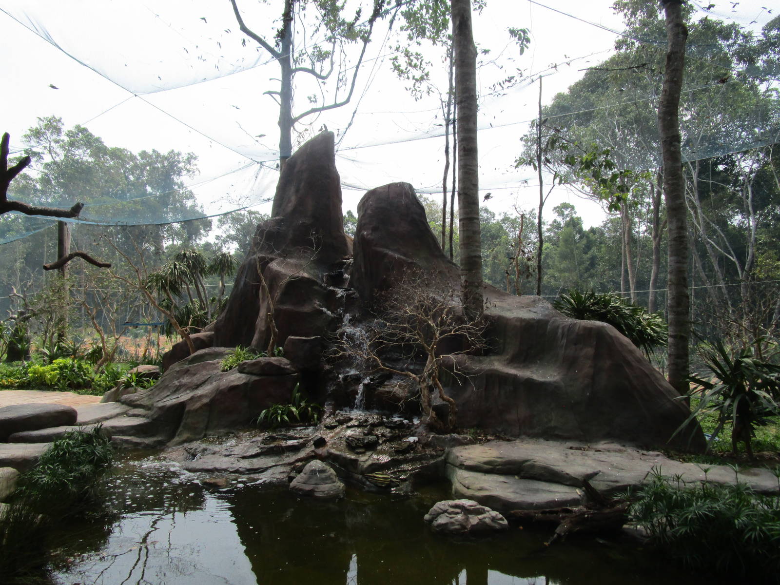 Vinpearl Safari - Walkthrough Aviary Pond