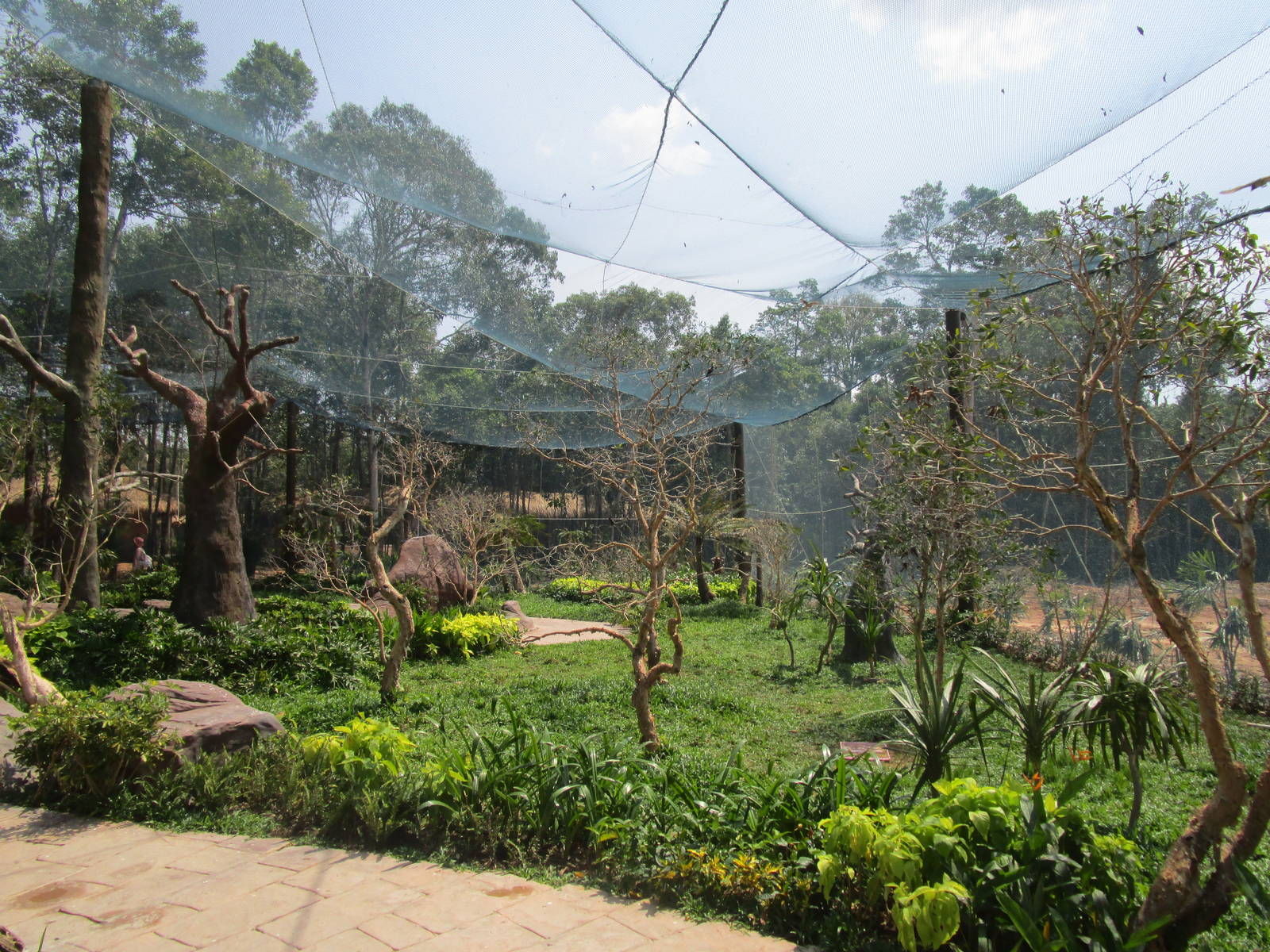 Vinpearl Safari - Walkthrough Aviary