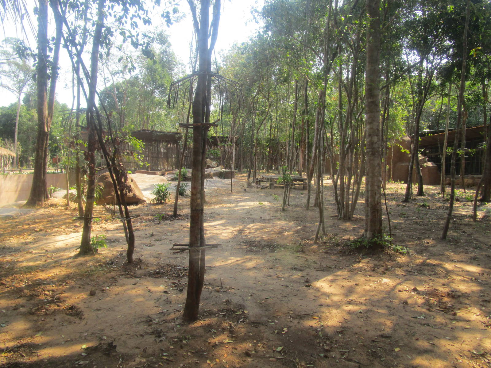 Vinpearl Safari - White Lion Enclosure