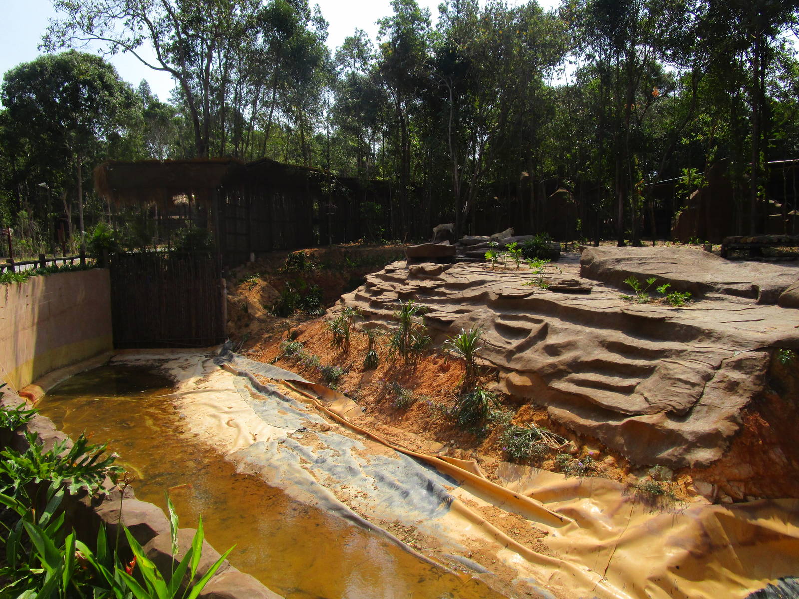 Vinpearl Safari - White Lion Moat