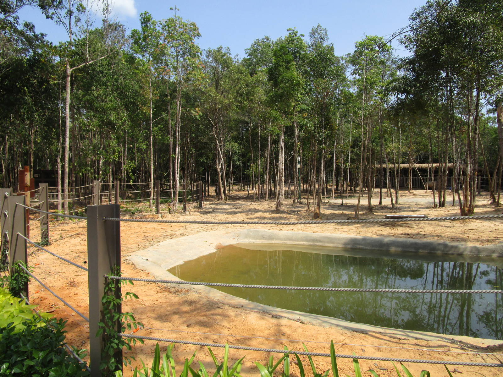 Vinpearl Safari - White Rhino Enclosure