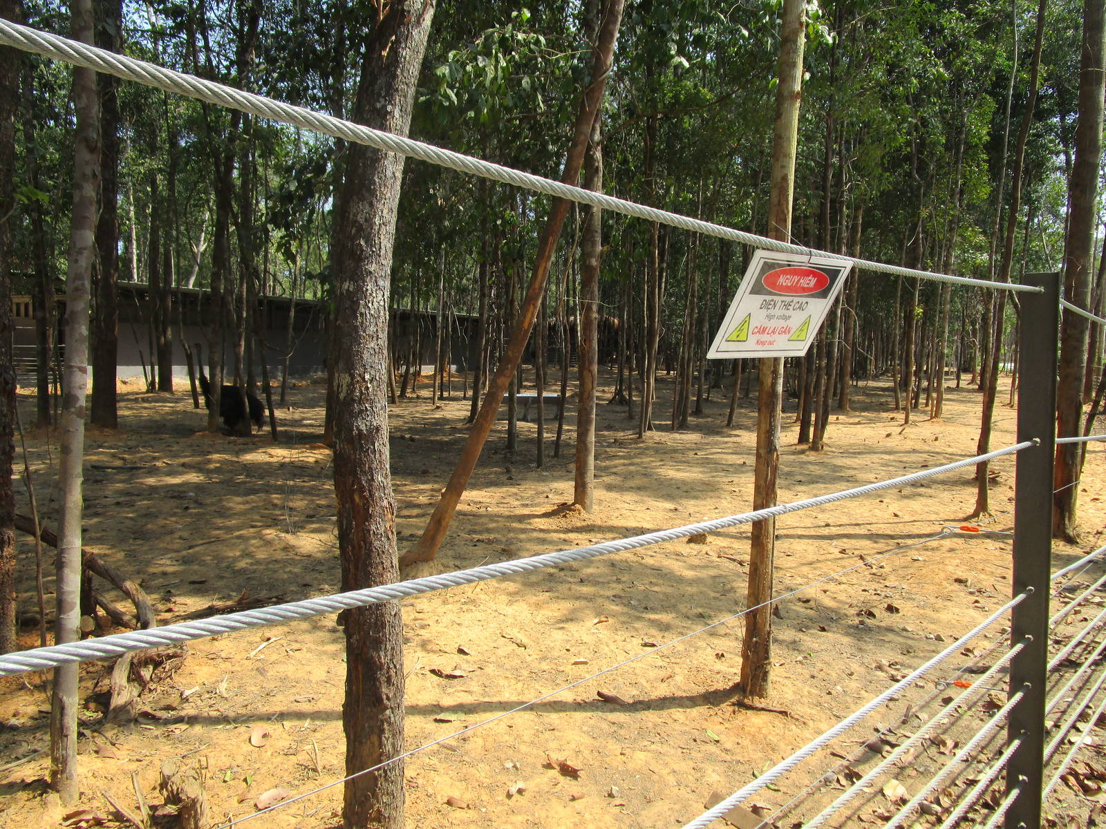 Vinpearl Safari - Zebra and Ostrich Enclosure