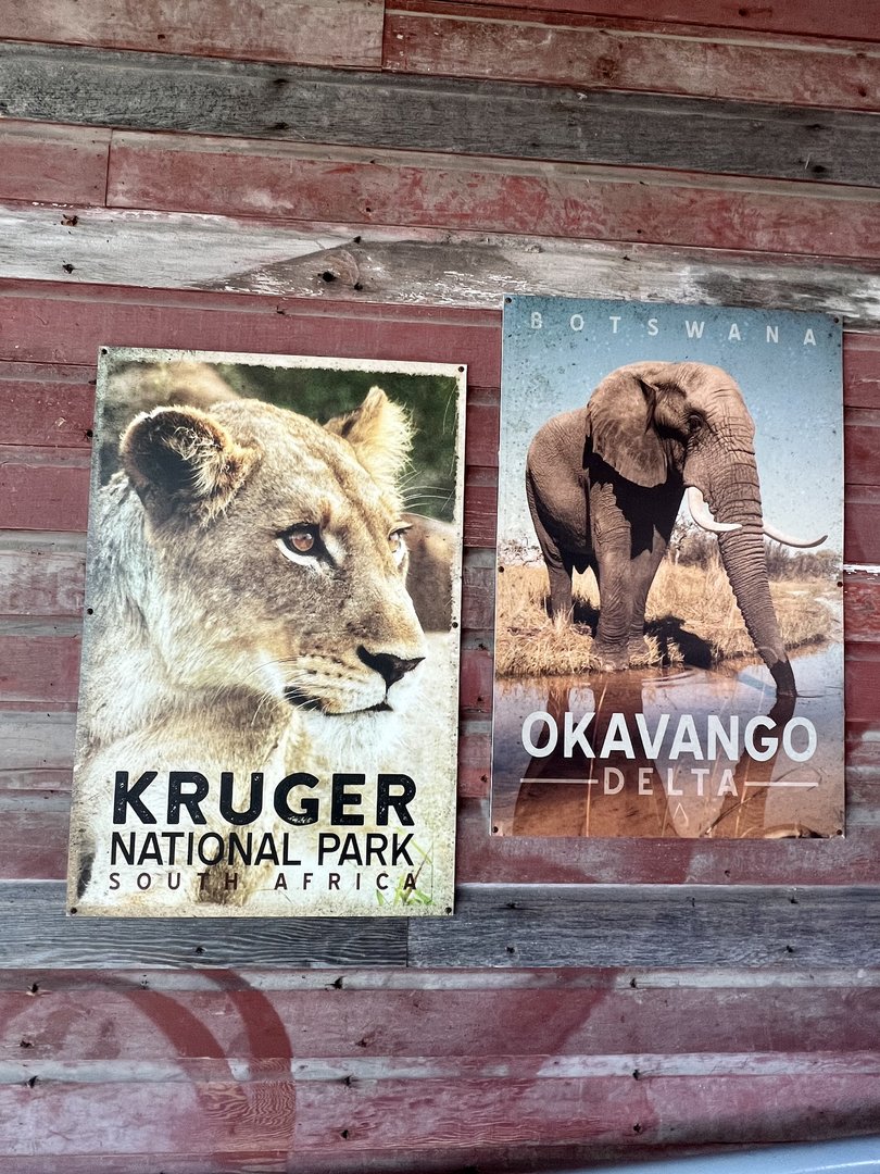 Vintage Travel Posters