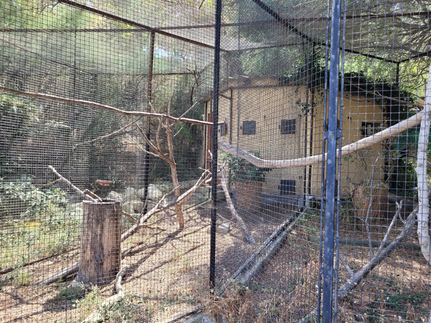 Violet turaco exhibit -Réserve Africaine de Sigean (2022)
