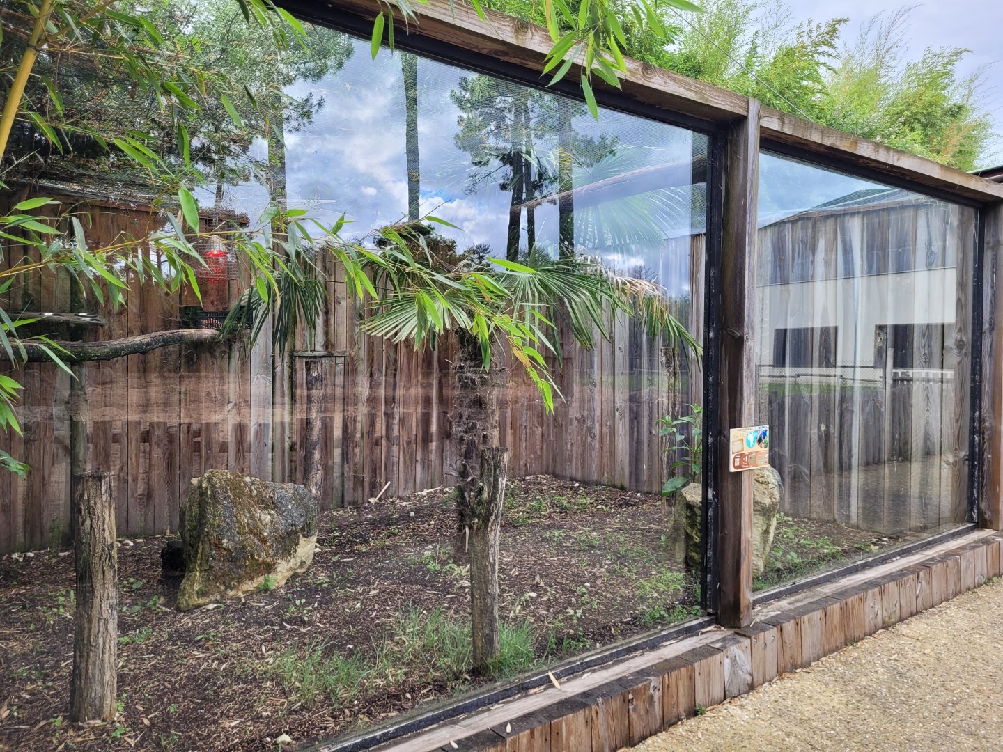 Violet turaco exhibit -Zoo du bassin d'Arcachon (2024)