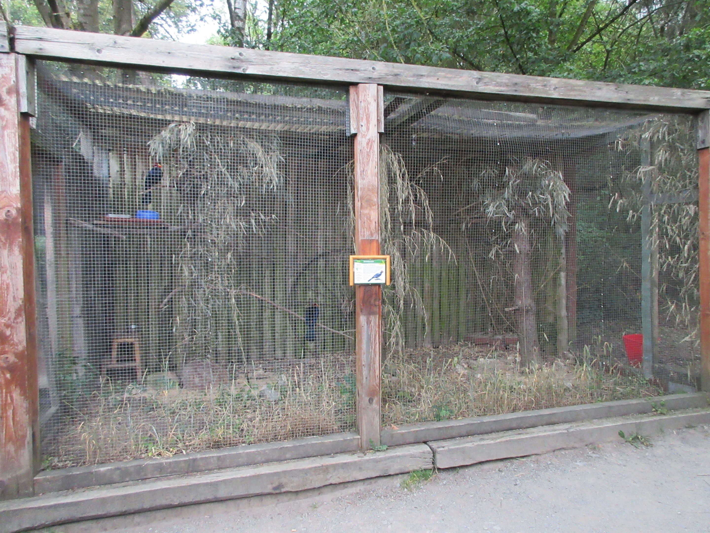 Violet Turaco Exhibit