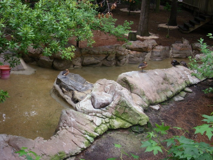 Virginia Aquarium-Aviary