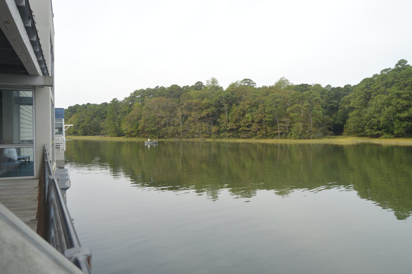 Virginia Aquarium - Owls Creek Overlook