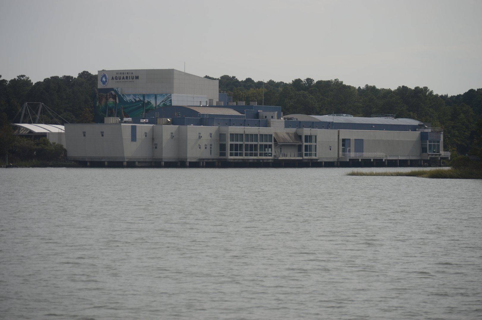 Virginia Aquarium - View from Owl Creek.