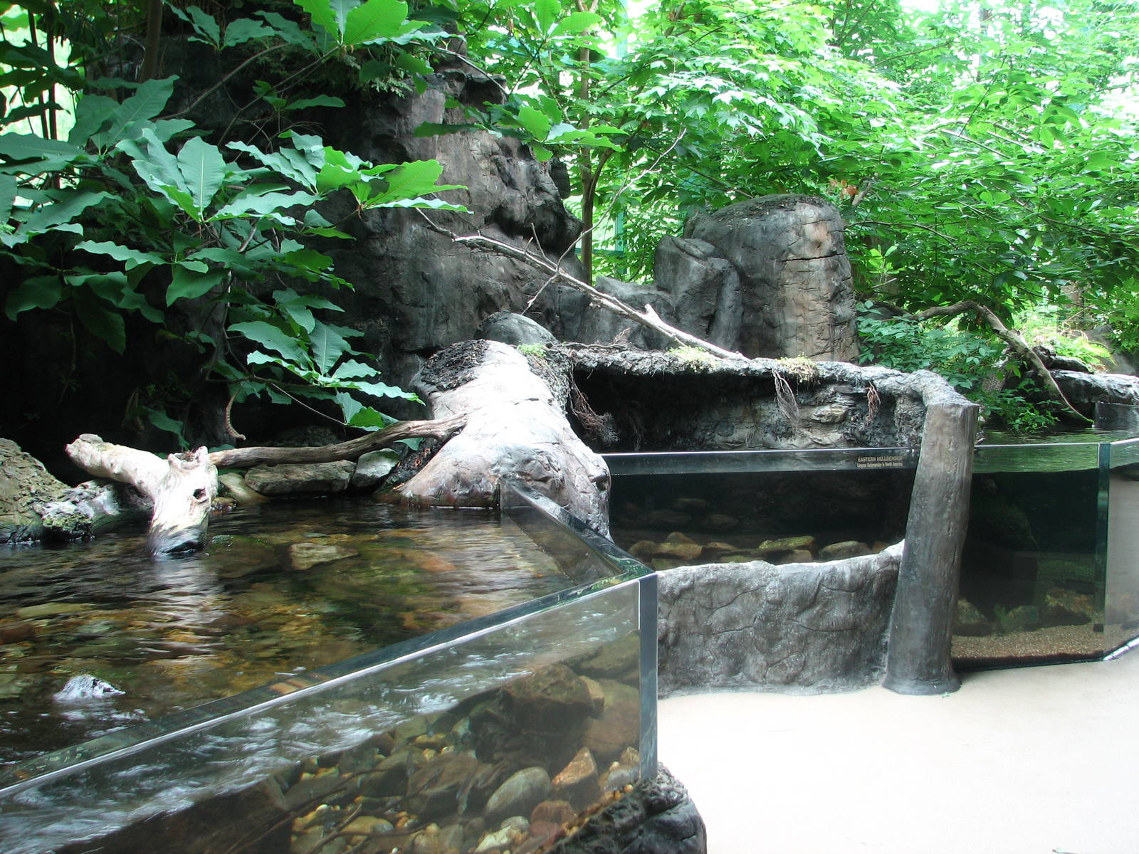 Virginia Living Museum