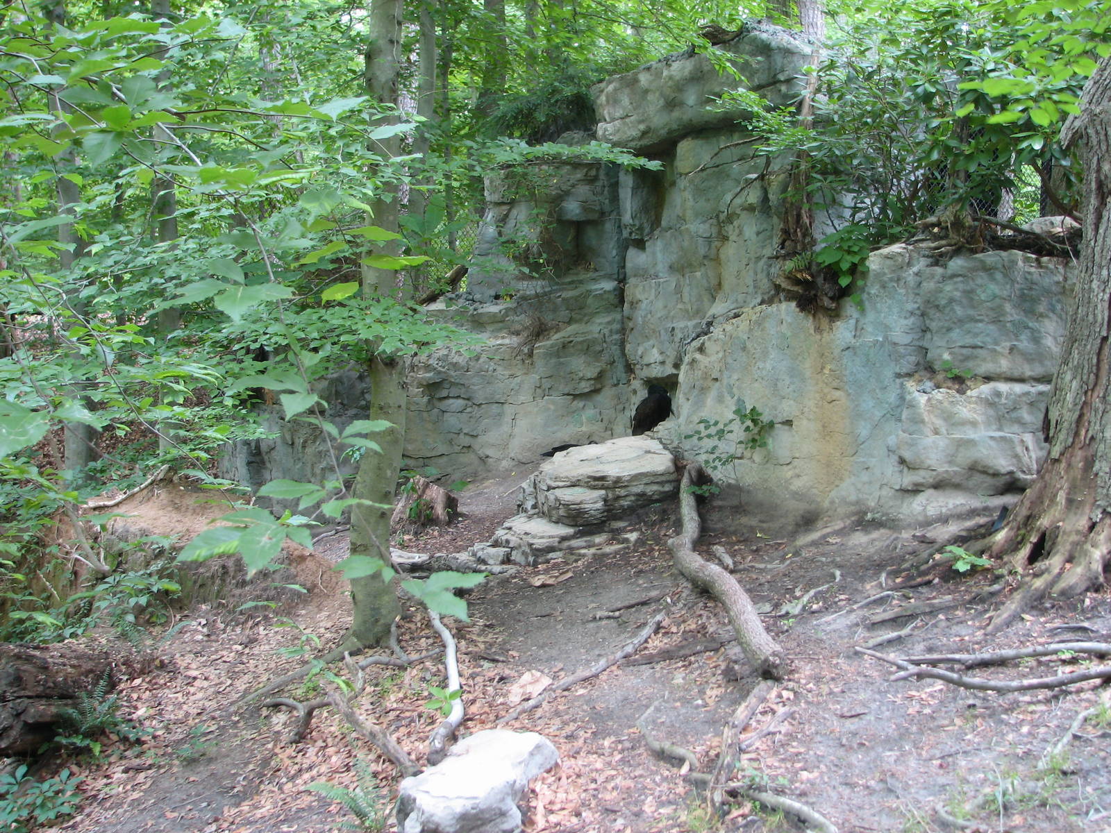 Virginia Living Museum