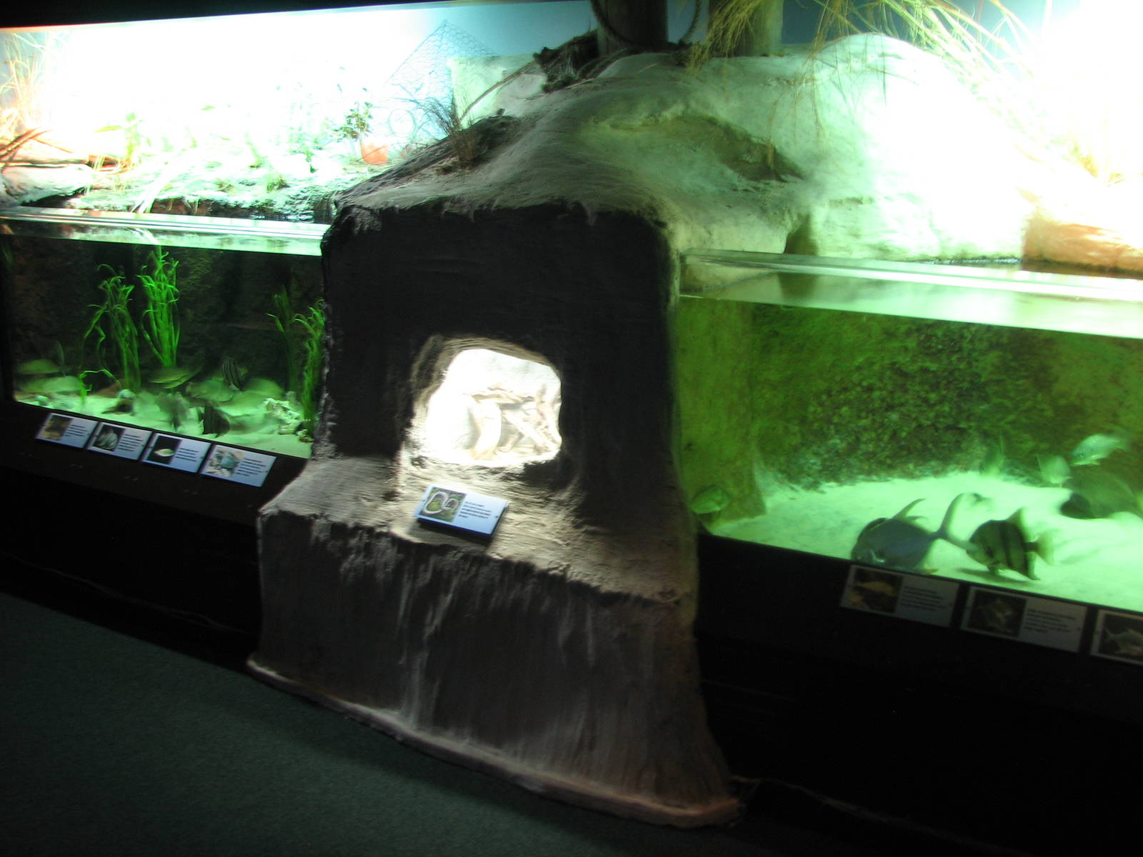 Virginia Living Museum