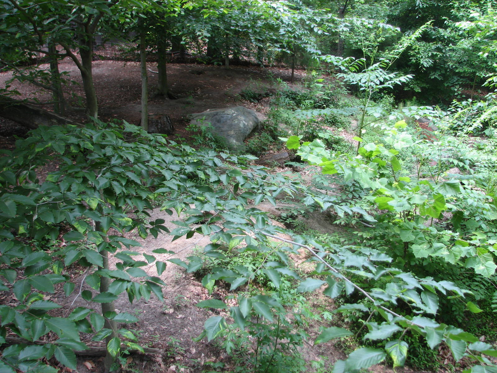 Virginia Living Museum