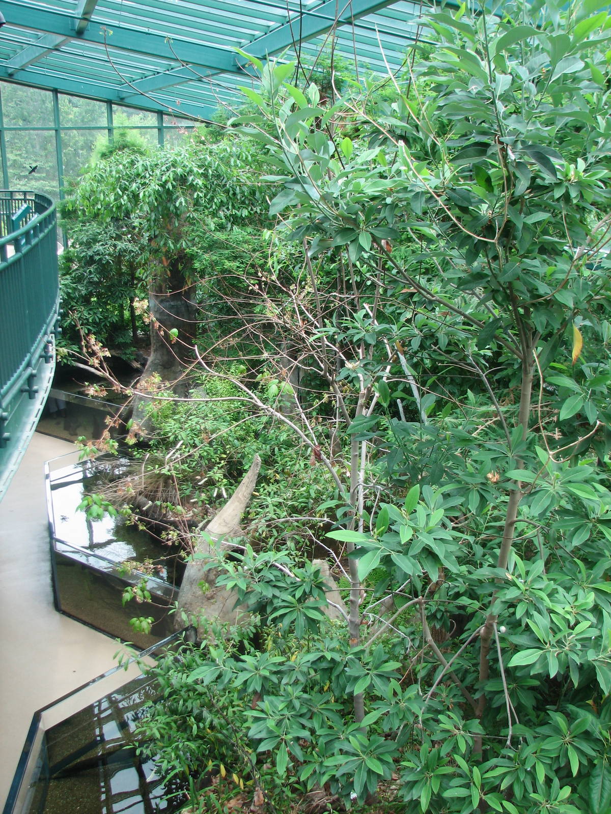 Virginia Living Museum