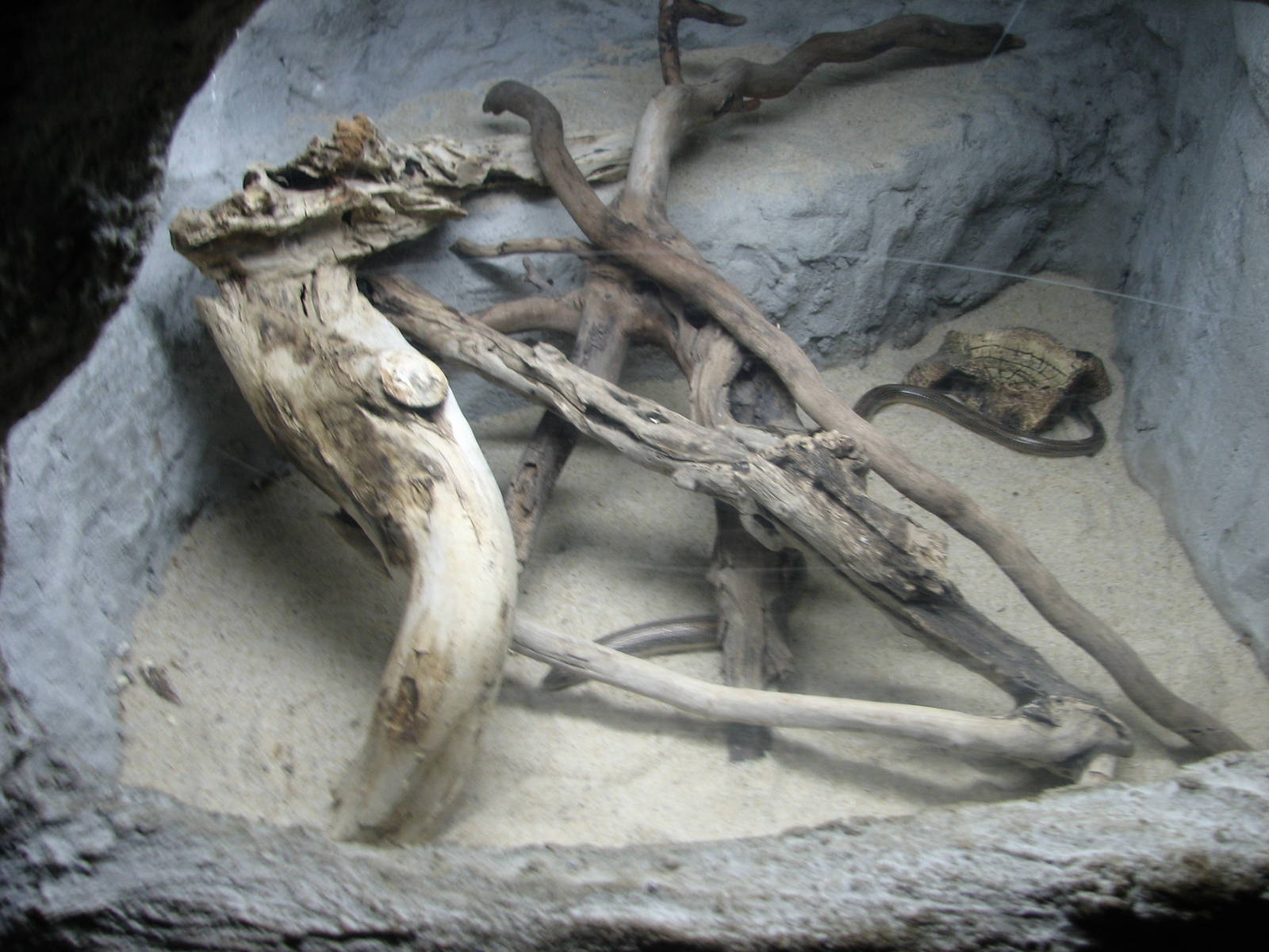 Virginia Living Museum