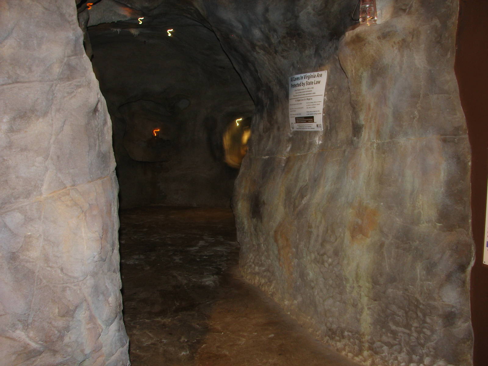 Virginia Living Museum