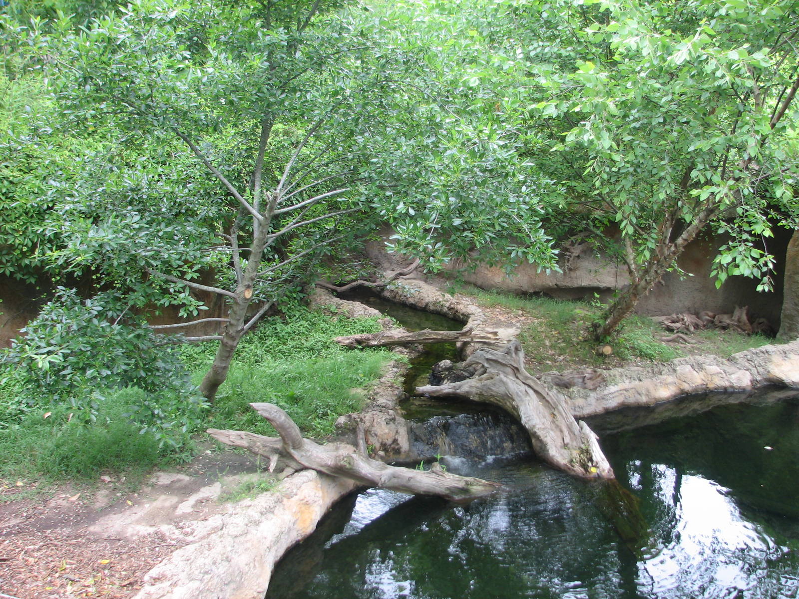 Virginia Living Museum