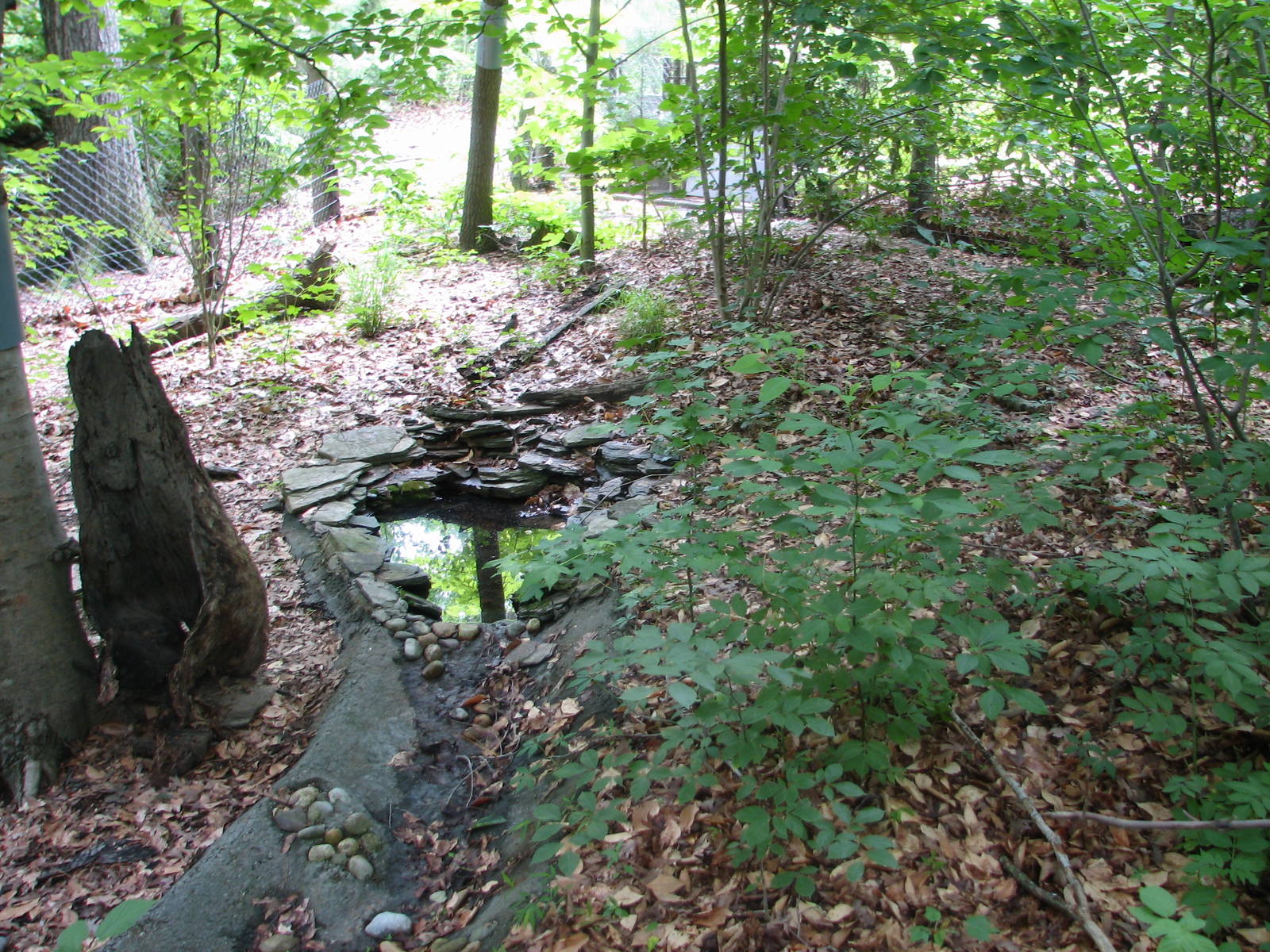 Virginia Living Museum