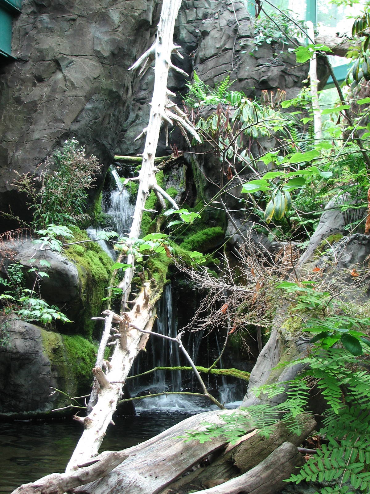 Virginia Living Museum