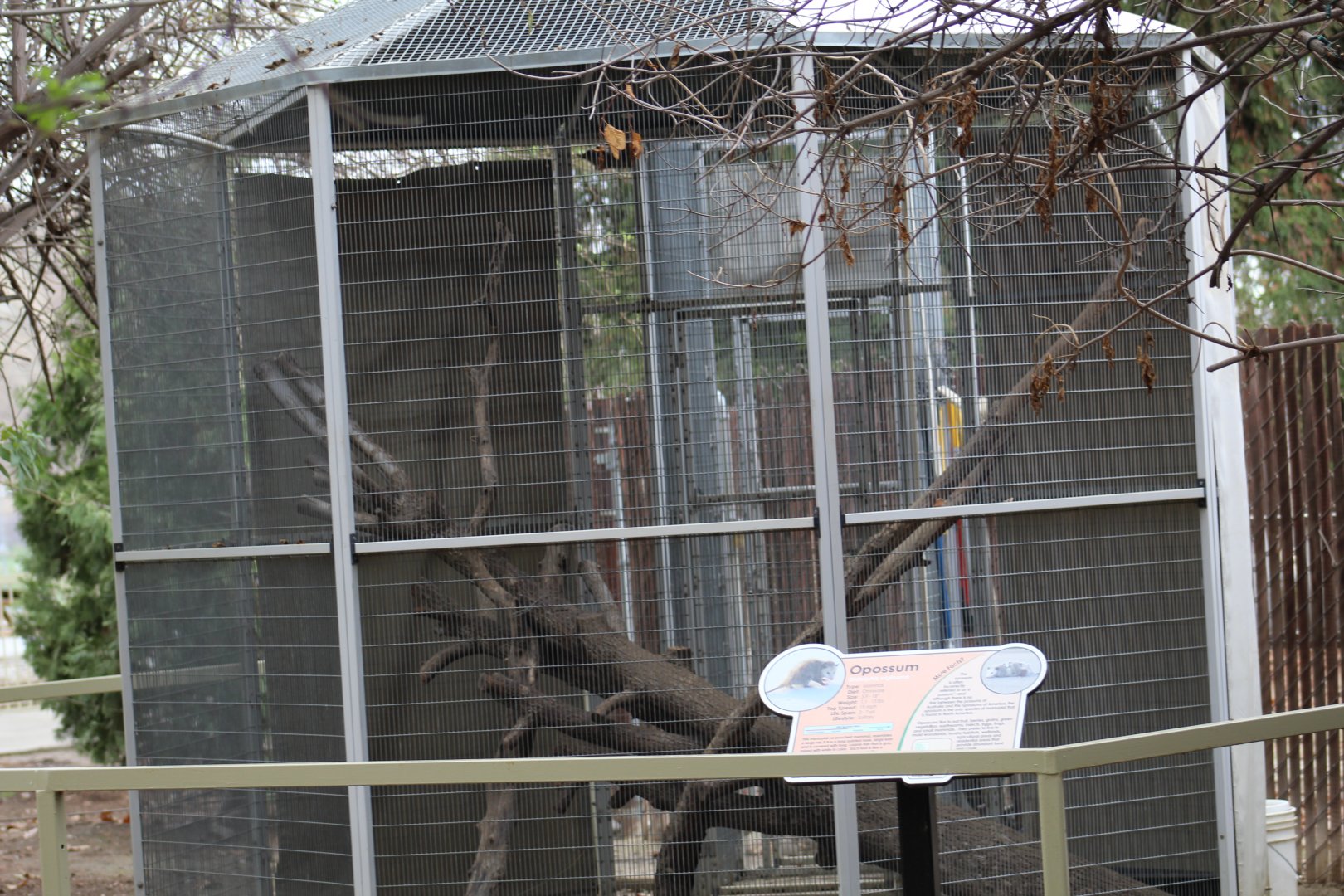Virginia Opossum Enclosure