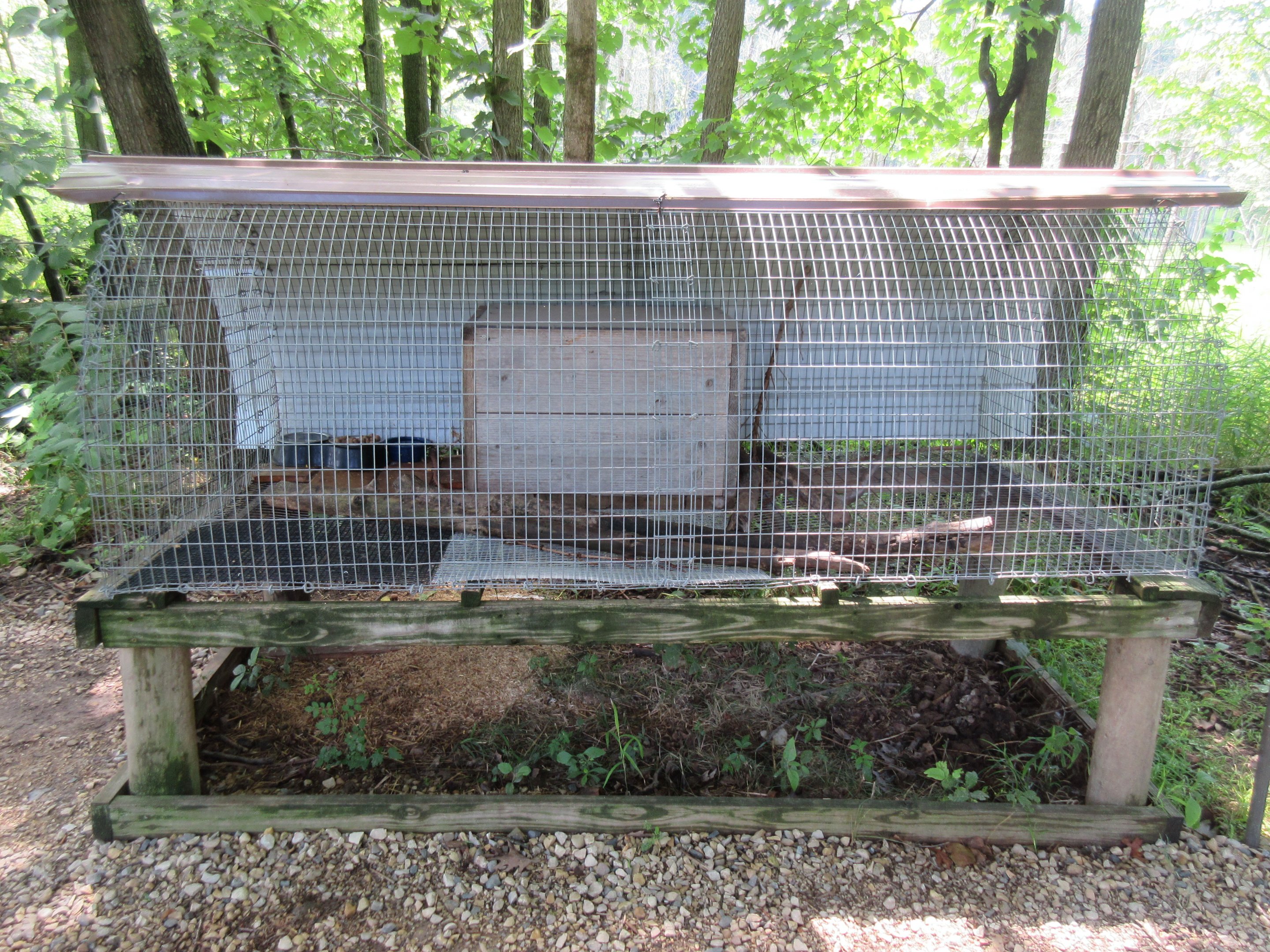 Virginia Opossum Exhibit