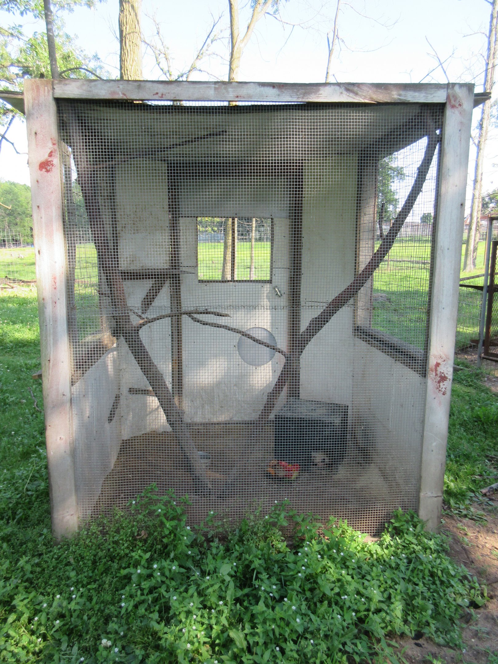 Virginia Opossum Exhibit