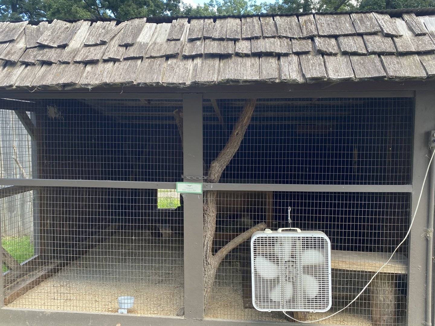 Virginia Opossum Exhibit