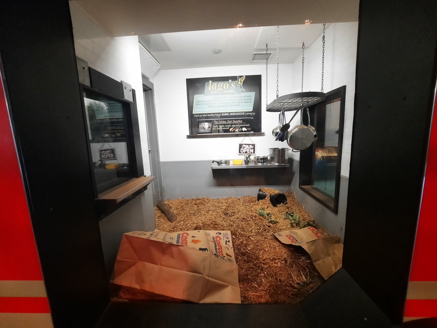 Virginia Possum Exhibit