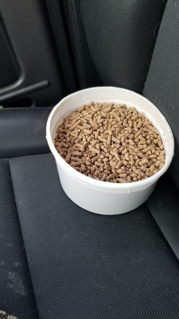 Virginia Safari Park - $5 bucket for safari