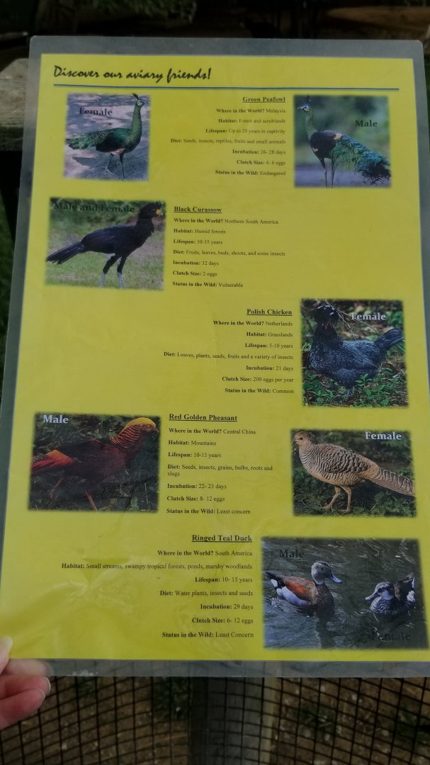 Virginia Safari Park - Aviary species