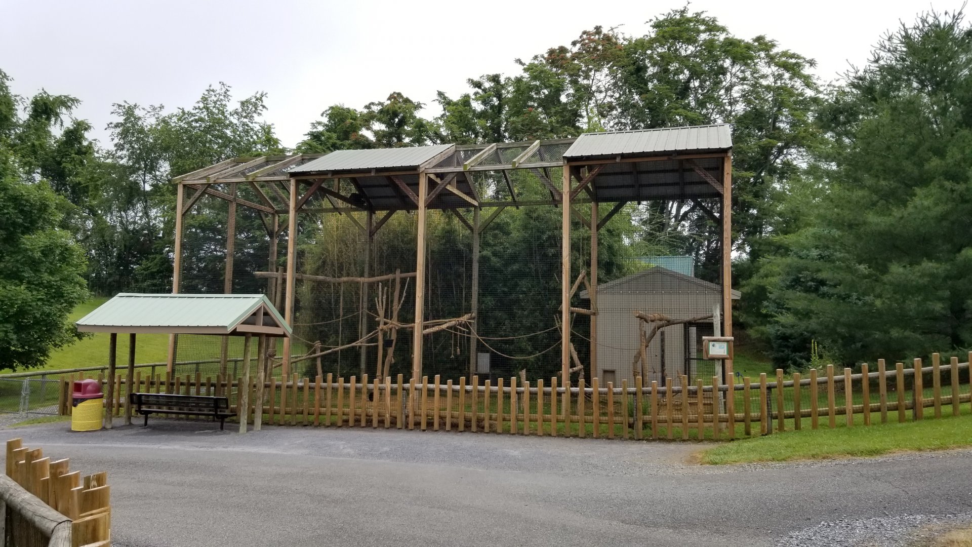 Virginia Safari Park - Brown-headed Spider Monkey
