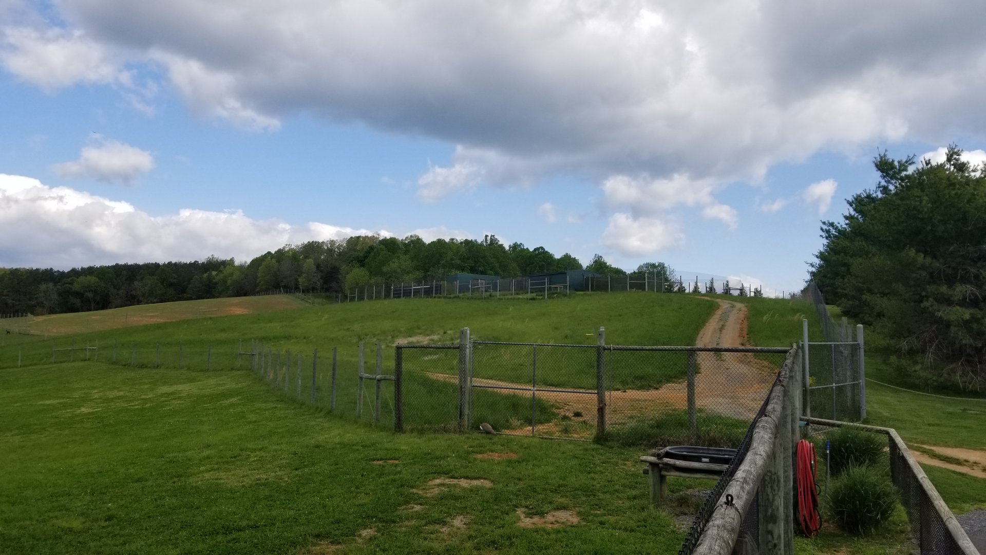 Virginia Safari Park - Cheetah breeding area up on hill