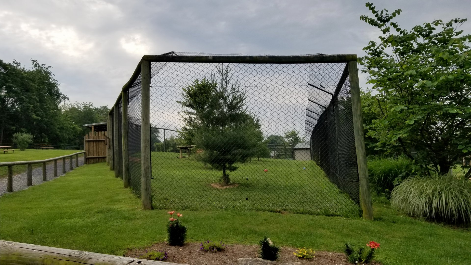 Virginia Safari Park - Close end of second cheetah yard