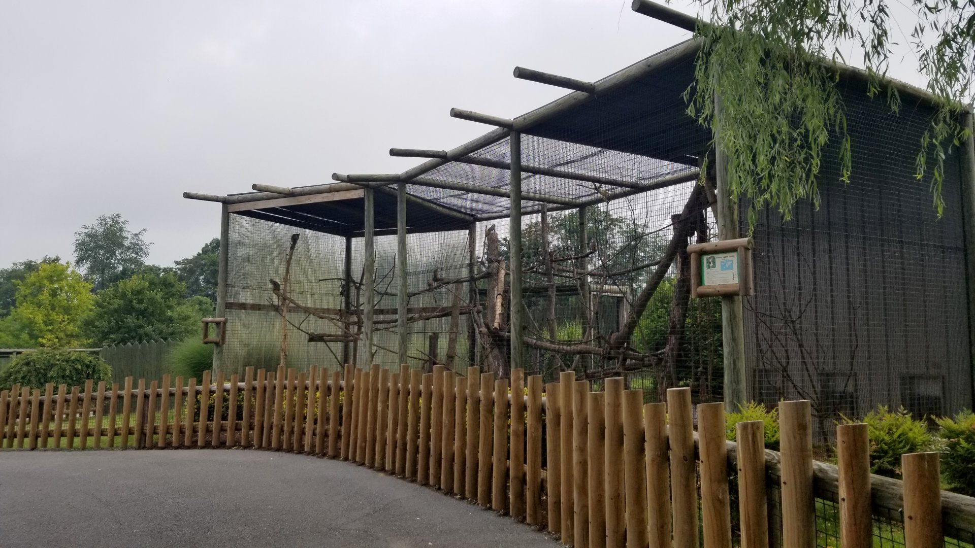 Virginia Safari Park - Common Squirrel Monkeys