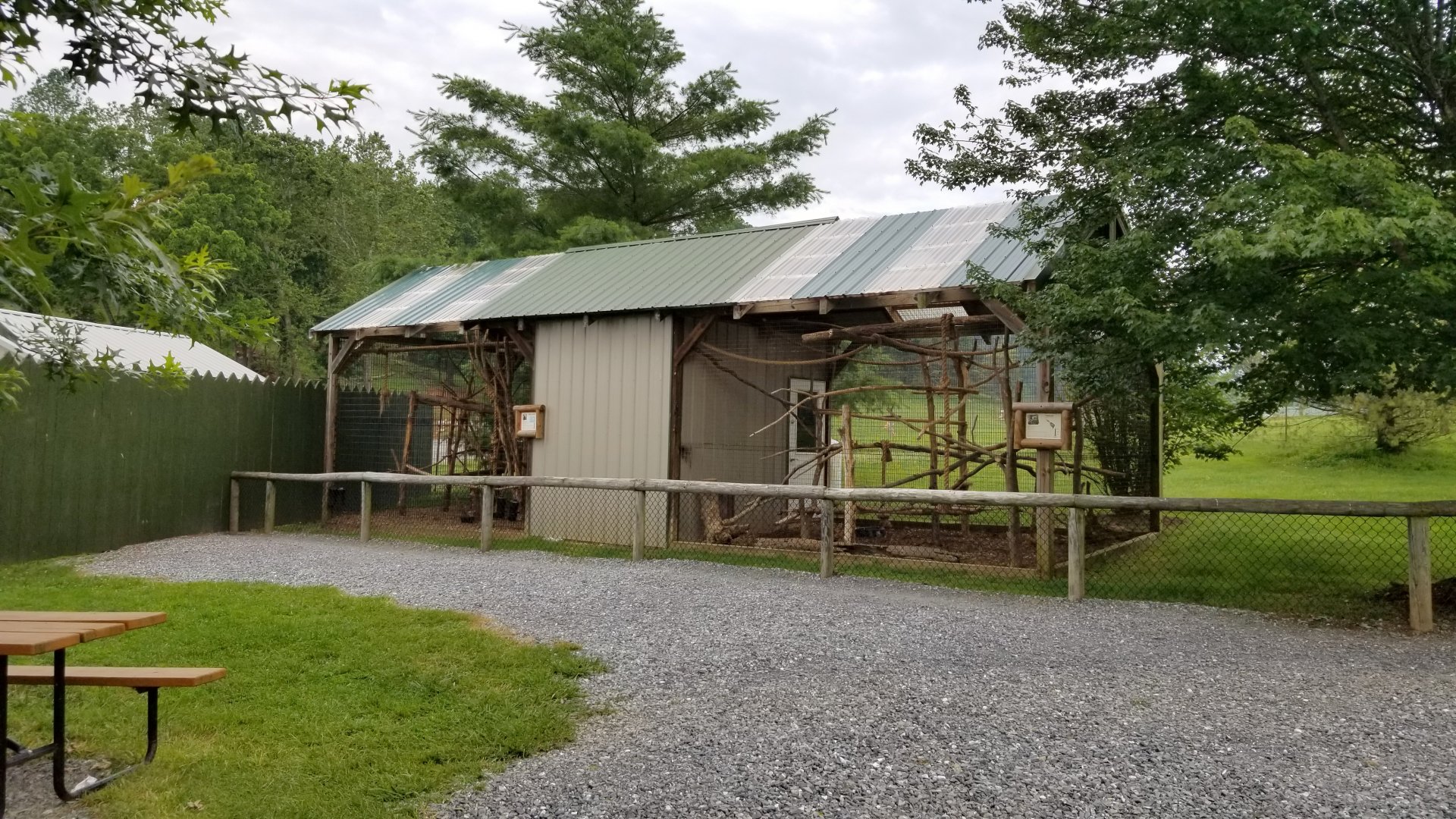 Virginia Safari Park - DeBrazza's Monkey, Tamandua