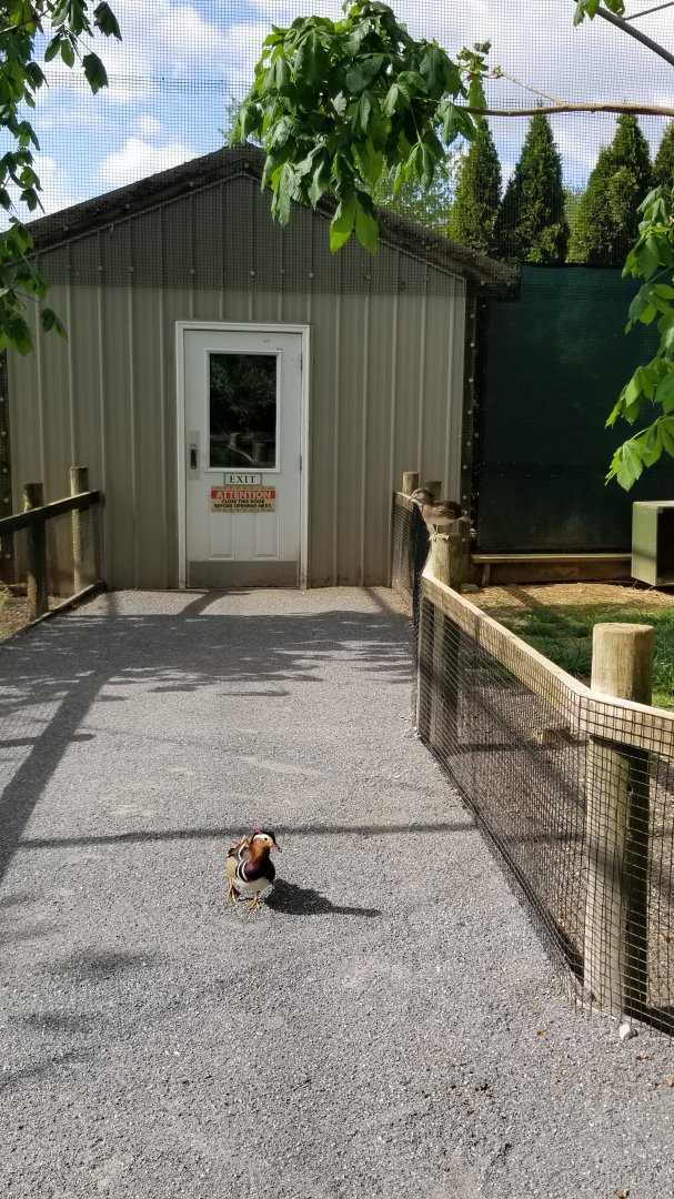 Virginia Safari Park - Entrance/exit from aviary