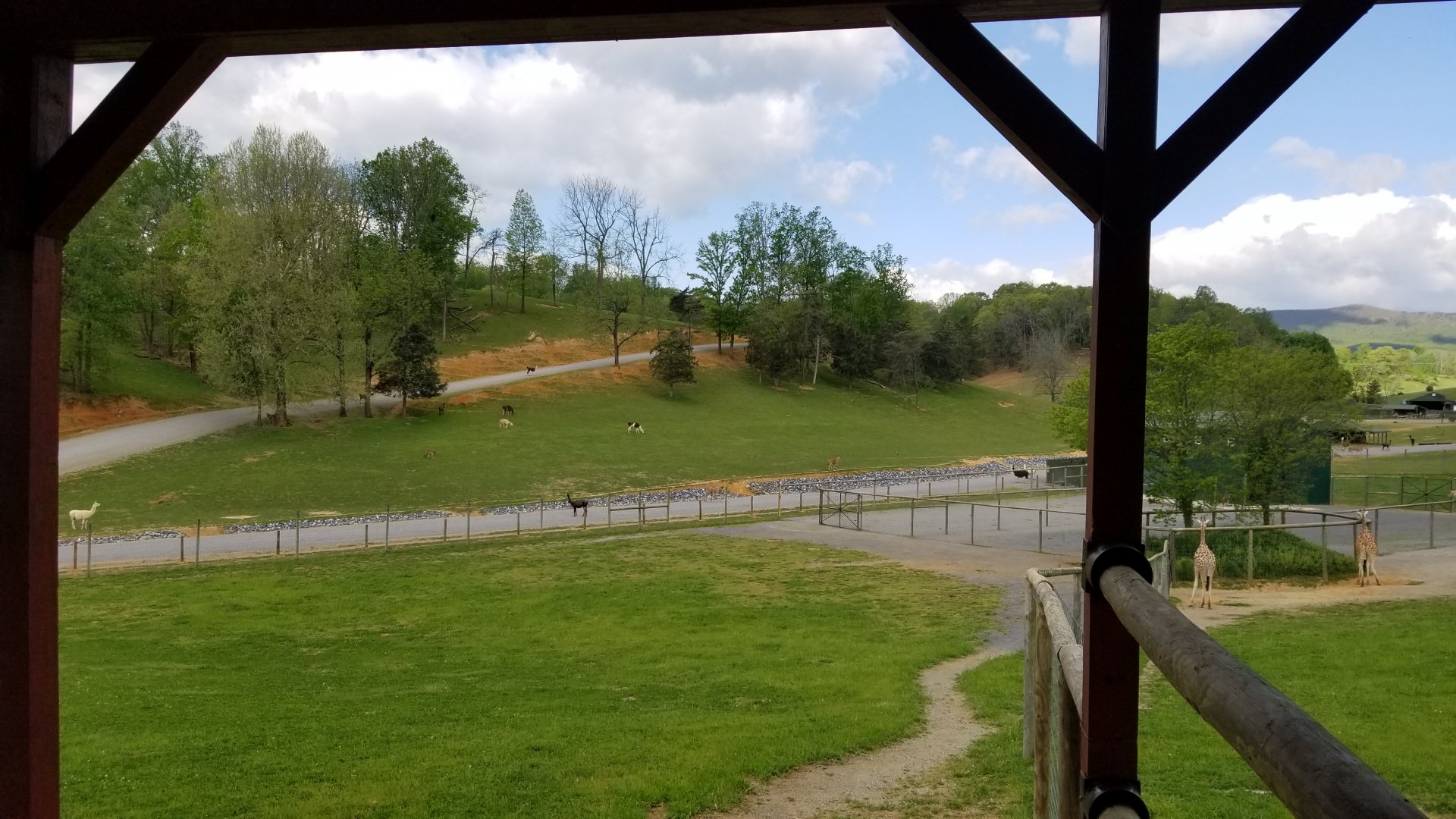 Virginia Safari Park - Entrance/exit from safari