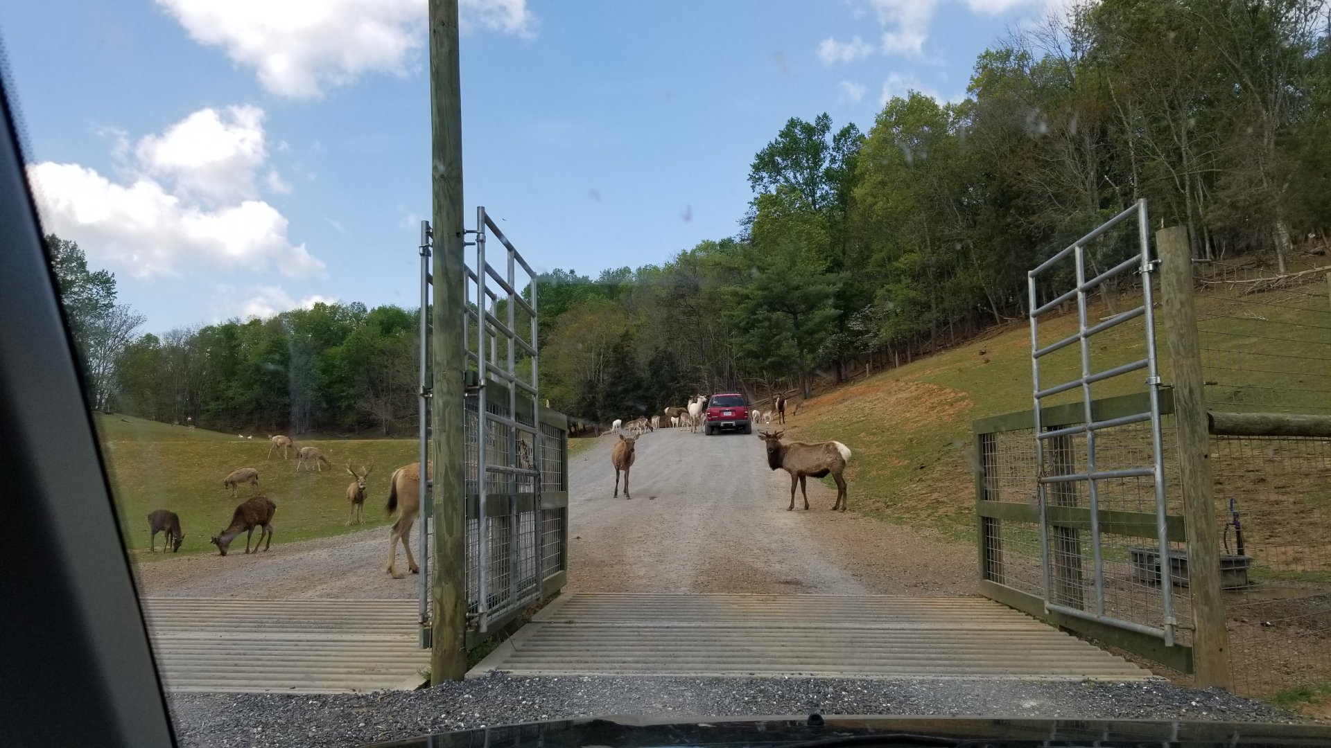 Virginia Safari Park - Entrance to main area of safari