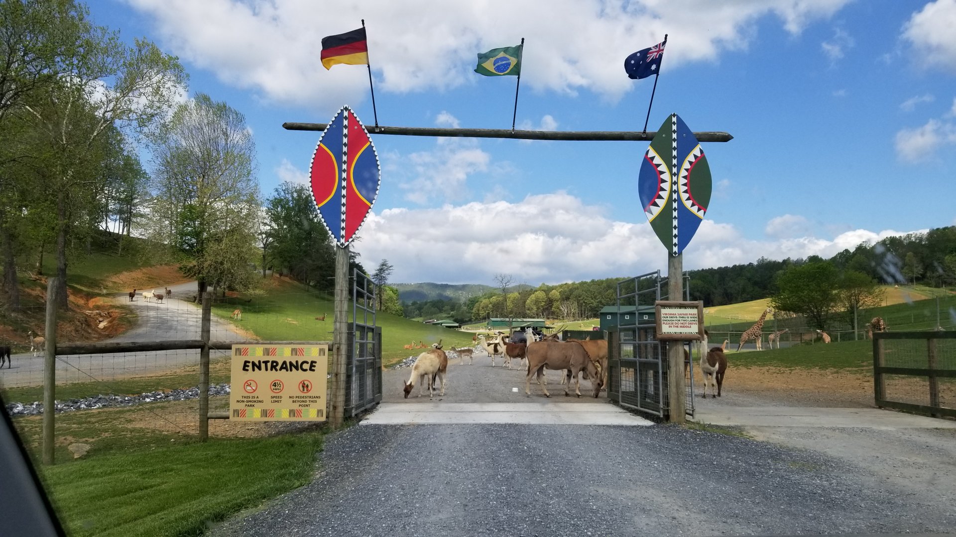 Virginia Safari Park - Entrance to safari