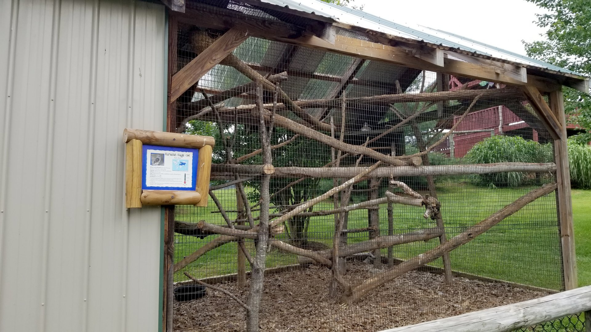 Virginia Safari Park - Eurasian Eagle Owl