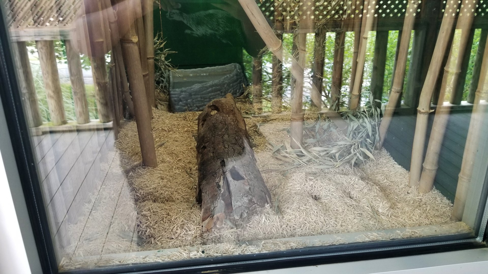 Virginia Safari Park - Example of habitat (corn snake)