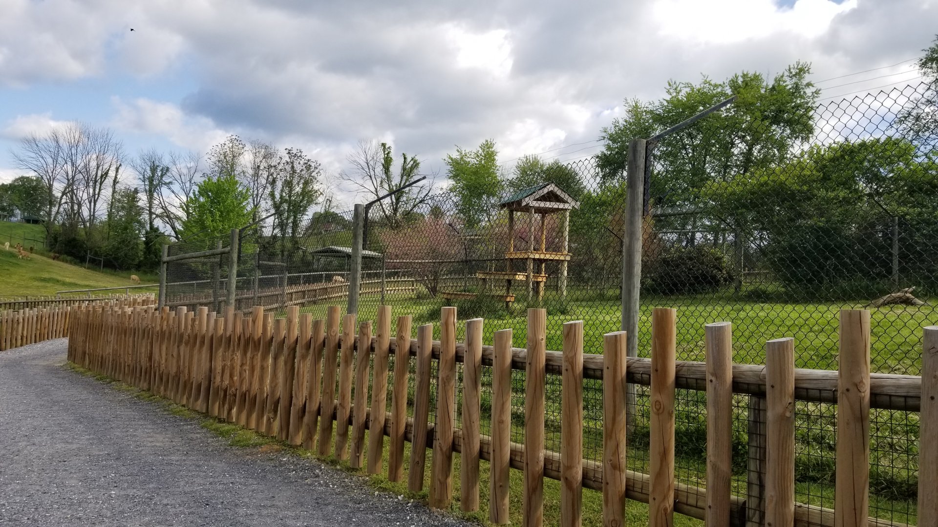 Virginia Safari Park - front cheetah exhibit (Mona Lisa's)