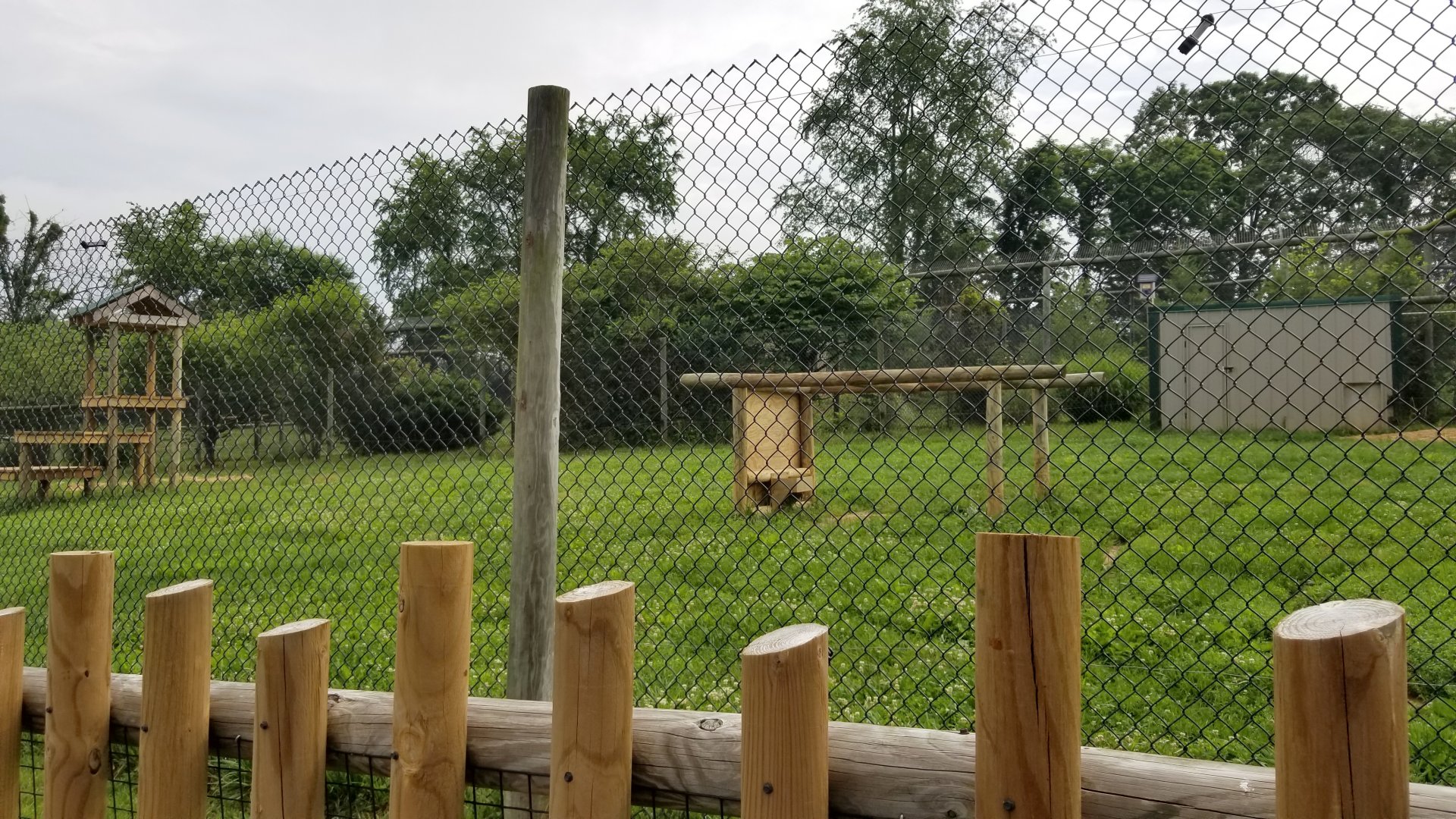 Virginia Safari Park - Front cheetah yard (empty)
