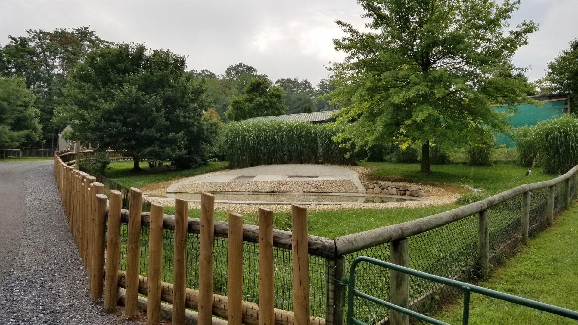 Virginia Safari Park - front of African Penguin yard